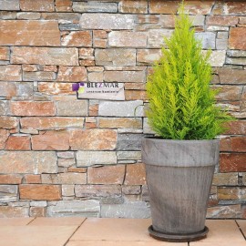 Panel MODERN Murak 55x20x2-3cm