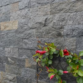 Kamień cięty PASKI GNEJS...